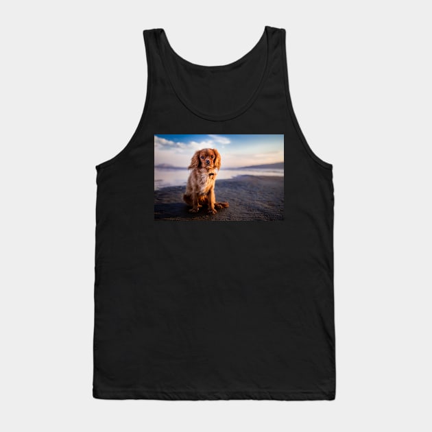 Cavalier King Charles Spaniel Tank Top by kawaii_shop